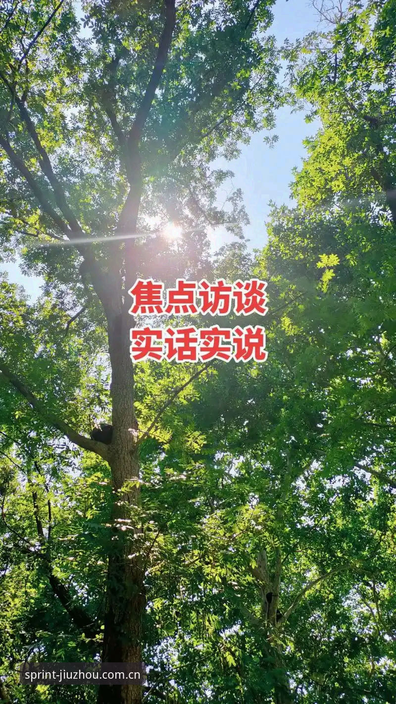 老用户实话实说：九州体育平台v4.2.0更新实战经验分享