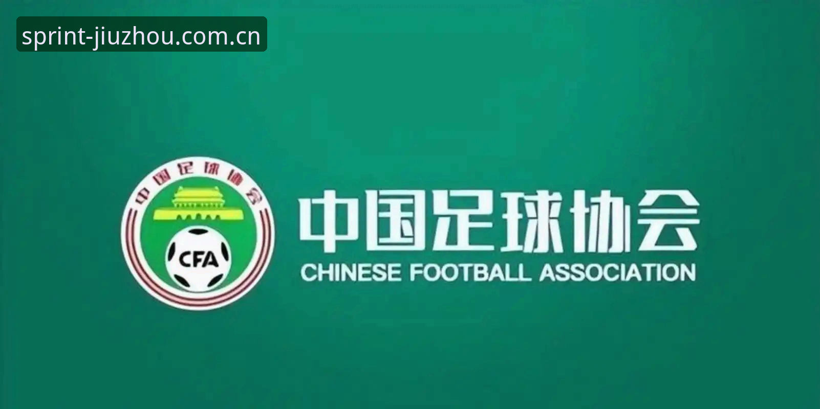 中国足协第三批禁足名单最新动态：17人终身禁足，48人遭重罚